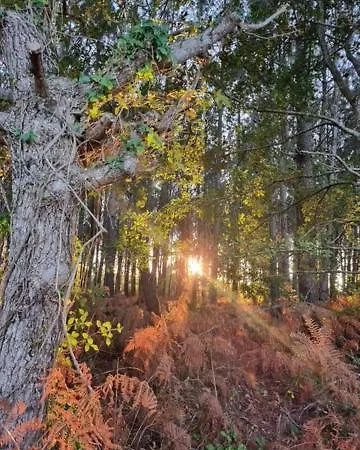 Meysouet-maison Refaite A Neuf Velo Bourg