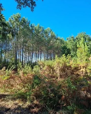Meysouet-maison Refaite A Neuf Velo Bourg Vakantiehuis *