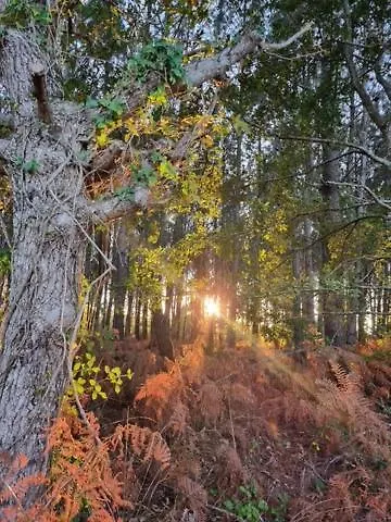 Meysouet-maison Refaite A Neuf Velo Bourg