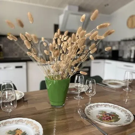 Meysouet-maison Refaite A Neuf Velo Bourg Holiday home Mimizan