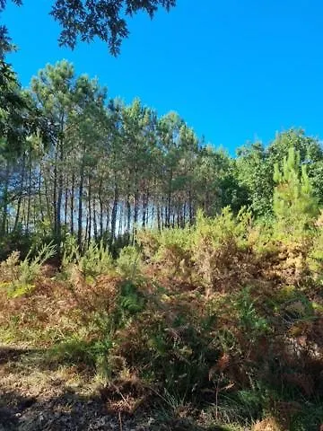 Meysouet-maison Refaite A Neuf Velo Bourg 펜션 *